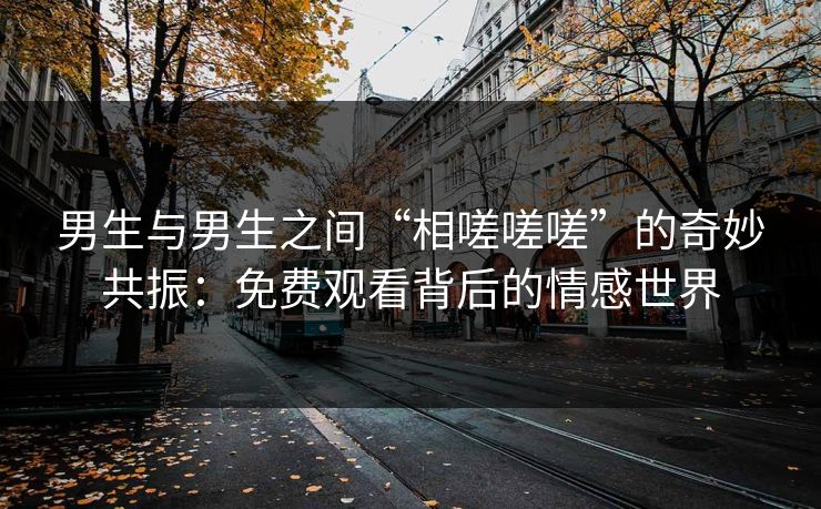 男生与男生之间“相嗟嗟嗟”的奇妙共振：免费观看背后的情感世界