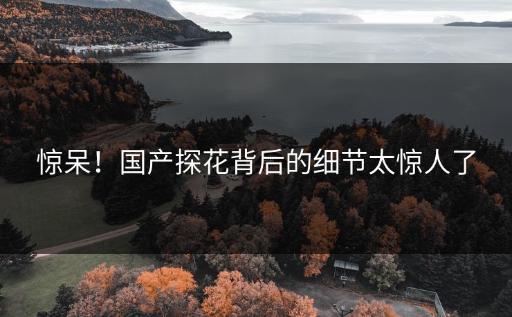 惊呆！国产探花背后的细节太惊人了