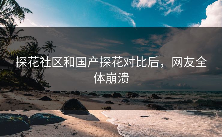 探花社区和国产探花对比后，网友全体崩溃