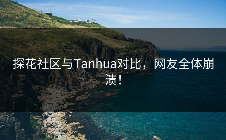 探花社区与Tanhua对比，网友全体崩溃！