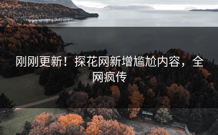 刚刚更新！探花网新增尴尬内容，全网疯传