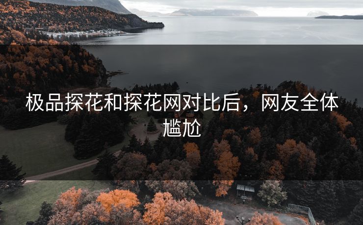 极品探花和探花网对比后，网友全体尴尬