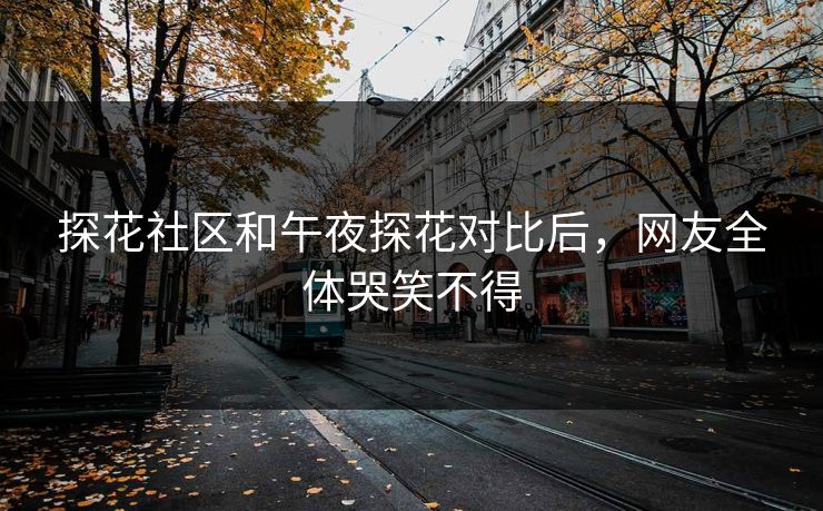 探花社区和午夜探花对比后，网友全体哭笑不得