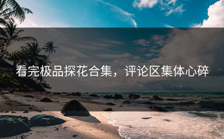 看完极品探花合集，评论区集体心碎
