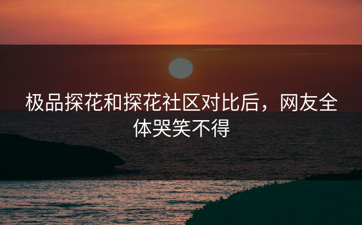 极品探花和探花社区对比后，网友全体哭笑不得