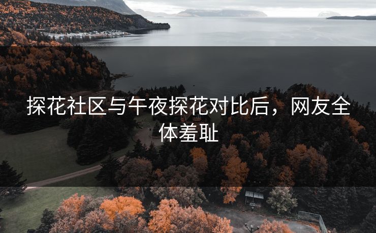探花社区与午夜探花对比后，网友全体羞耻