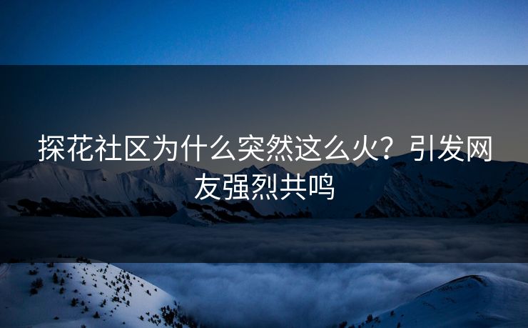 探花社区为什么突然这么火？引发网友强烈共鸣