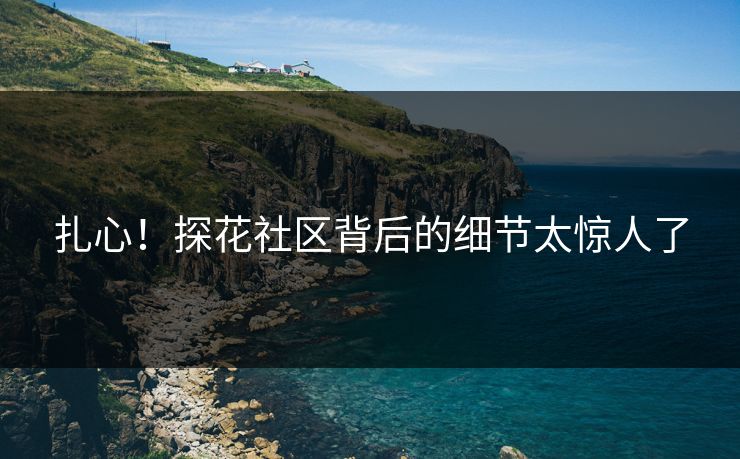 扎心！探花社区背后的细节太惊人了