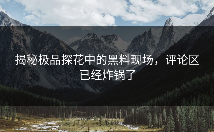 揭秘极品探花中的黑料现场，评论区已经炸锅了