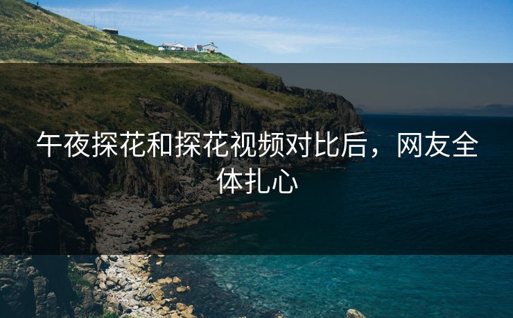 午夜探花和探花视频对比后，网友全体扎心
