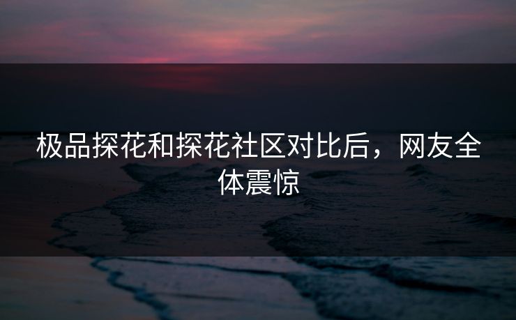 极品探花和探花社区对比后，网友全体震惊