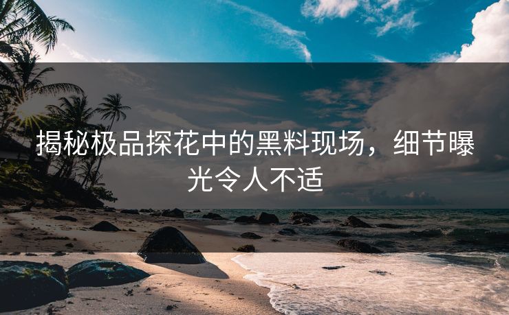 揭秘极品探花中的黑料现场，细节曝光令人不适