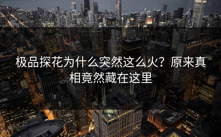 极品探花为什么突然这么火？原来真相竟然藏在这里