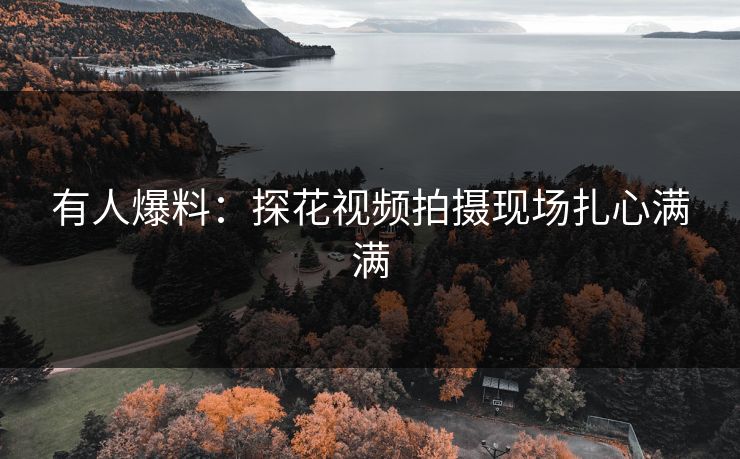 有人爆料：探花视频拍摄现场扎心满满