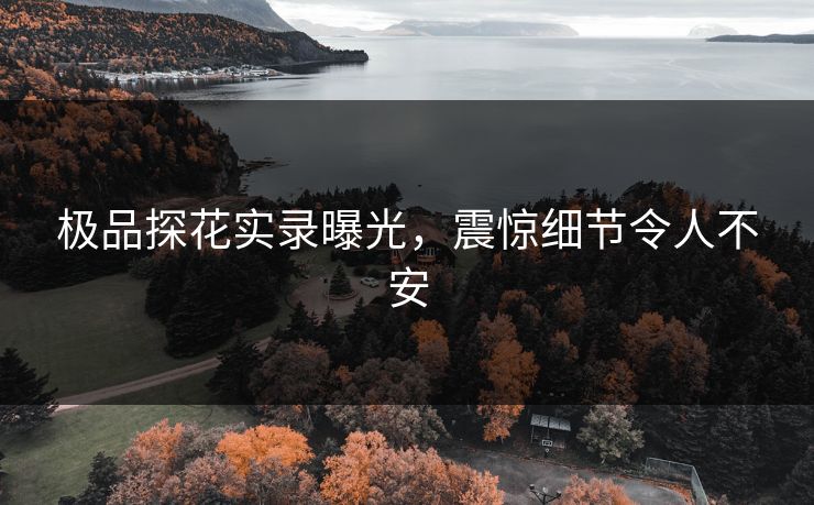 极品探花实录曝光，震惊细节令人不安