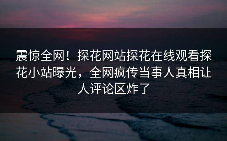 震惊全网！探花网站探花在线观看探花小站曝光，全网疯传当事人真相让人评论区炸了