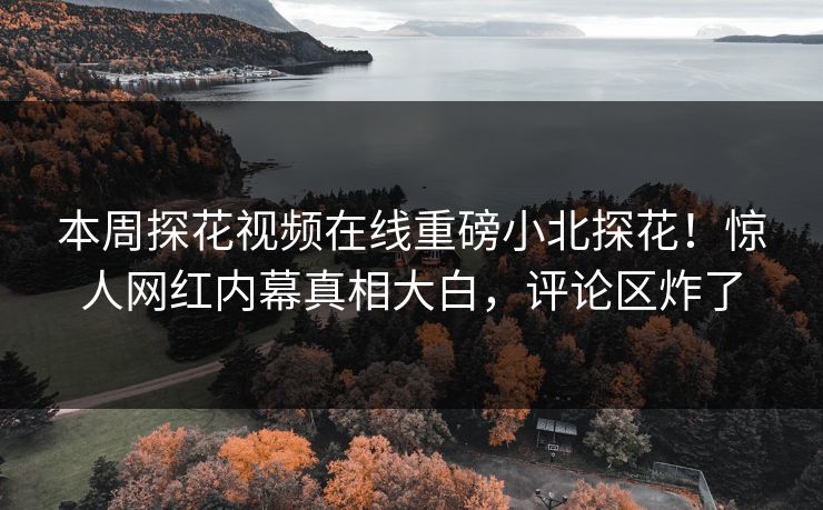 本周探花视频在线重磅小北探花！惊人网红内幕真相大白，评论区炸了