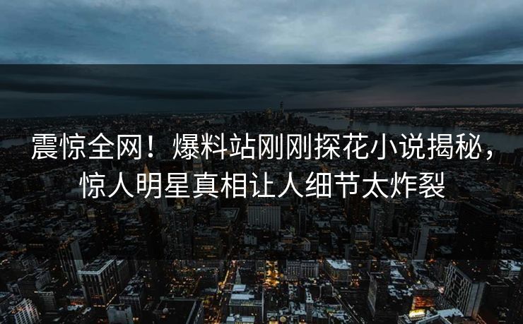 震惊全网！爆料站刚刚探花小说揭秘，惊人明星真相让人细节太炸裂