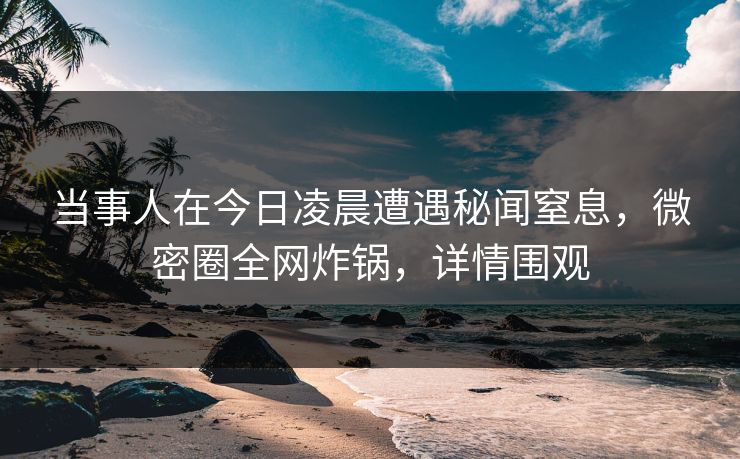 当事人在今日凌晨遭遇秘闻窒息，微密圈全网炸锅，详情围观